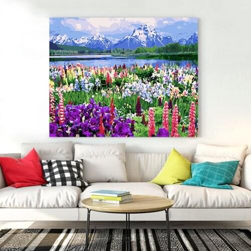DIY painting by numbers snow mountain flower sea creative adult hand-painted living room decorative painting