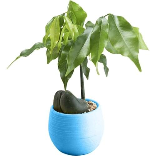 Mini Colourful Round Plastic Plant Flower Pots Home Office Decor Planter Creative maceteros decorativos Crafts Free shipping A60