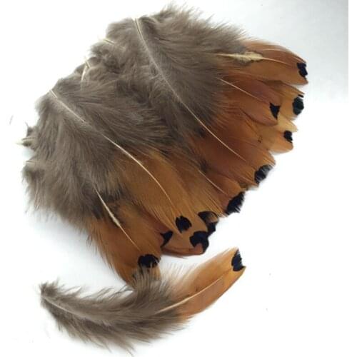 100Pcs/Lot!5-9CM Beautiful Natural Gold Ringneck Pheasant Feathers Small Pheasant Feathers Hats Wedding DIY Hair Accessories