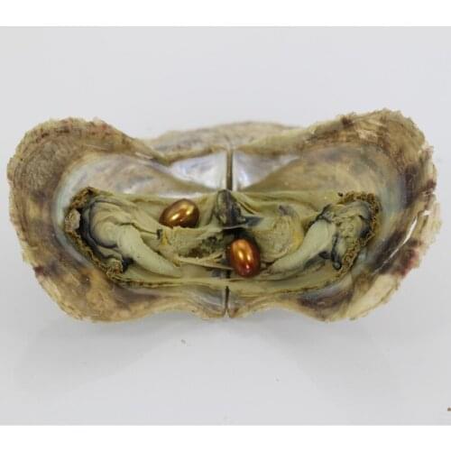 Coffee Gold20pcs Wholsale Twins Pearls in One Oyster 6-7mm Double Rice Pearls Oval Pearl Oysters Individually Wrapped ABH720