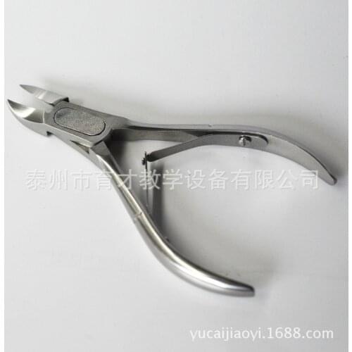 Bone shear stainless steel biological anatomy tool experimental equipment teaching instrument