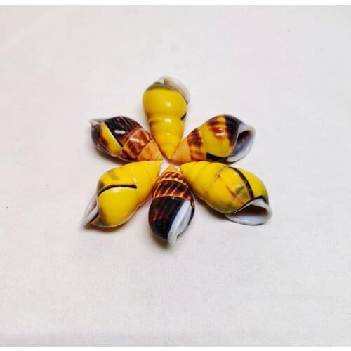 3-4 cm yellow snail shell colorful home decoration childrens toy
