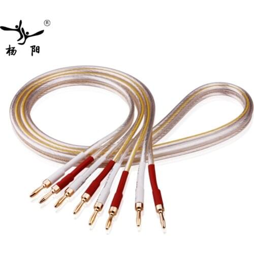 YYAUDIO Y-SP-450 6N OFC HIFI Silver plated speaker cable is designed for use in professional hi-fi systems