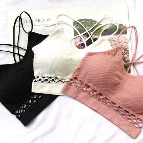 Women Sports Underwear Beautiful Back Wrapped Chest Sexy Hollow Yoga No Steel Ring Underwear Student Camisole Small Vest