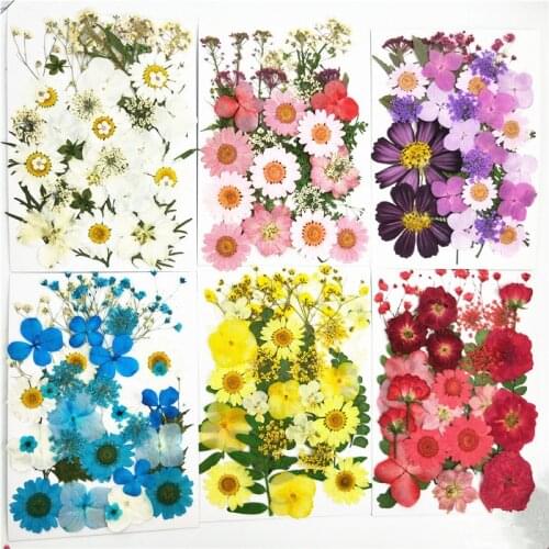 35 PCS/BAG Crystal Epoxy Filler Dry Flower For DIY Craft Handmade Flowers Silicone Molds UV Resin Filling Material Decoration
