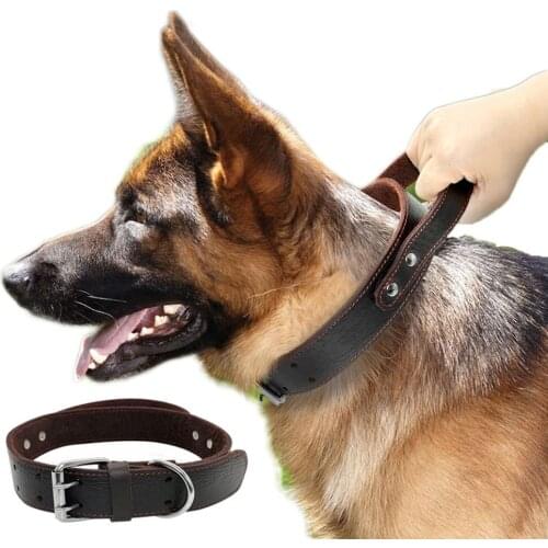 Sturdy Genuine Quality Leather Dog Collar Control Handle Fashion Durable Heavy Duty Pet Training Collar