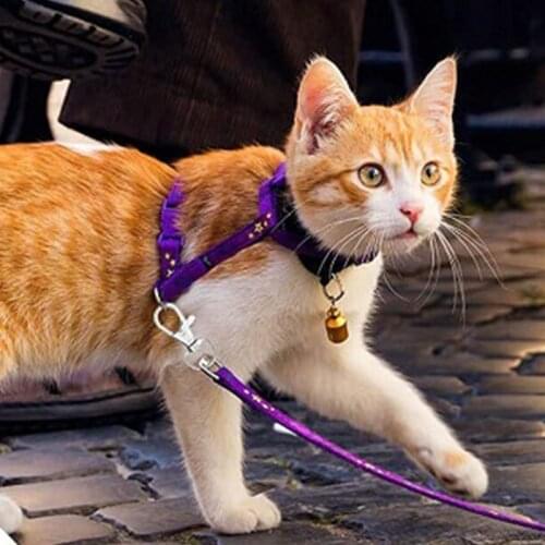 Lobster Claw Clasp 120 Pieces Swivel Keychain Push Gate Snap Hook Trigger Durable Alloy Jewelry DIY Craft for Jeans Bags