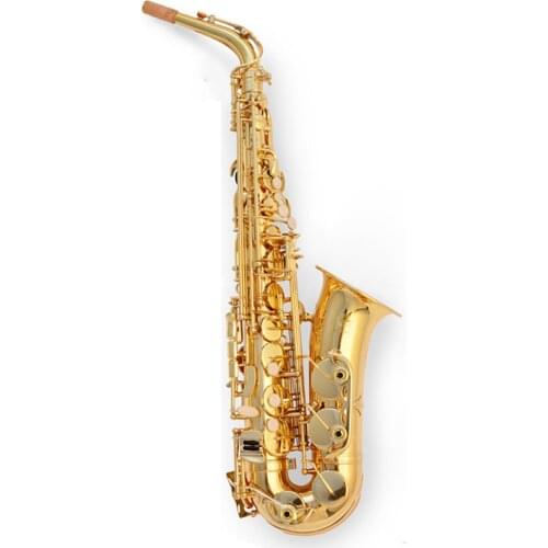 Hot Sale E-flat Alto Saxophone R54 bond type Painted Golden Sax Playing Musical Instruments Brass Top Quality Saxofon Gift SAX01