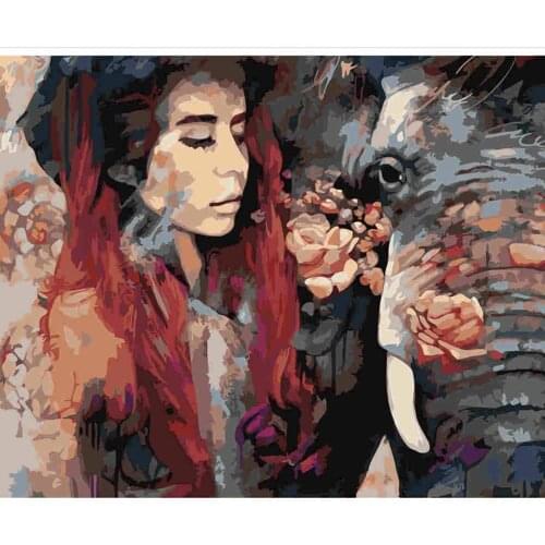 Olieverfschilderij Van Nummers Bloem Op Canvas Set Decor Voor Color Painting By Number Handgeschilderd Gift 40X50cmMulticolor