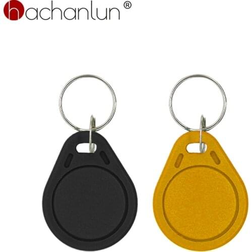 T5577 EM4305 Tag Keychain RFID 125 KHz Keyfobs Copied And Rewritten Keychain Access Control Card 10/50/100PCS