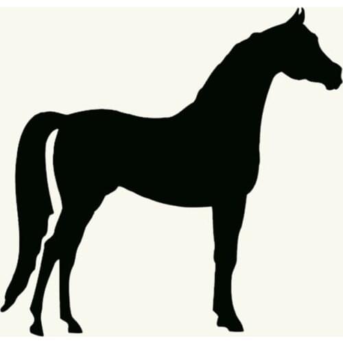 Arabian Horse Graphic Sticker for Window Laptop Tractor Vinyl Decal Standing Tall Animal Cartoon Images Handsome 13x13cm