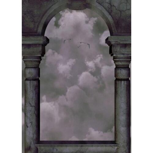 Arch Clouds Birds Pillars Photography Background Computer Printed Backdrop Photo Studio for Baby Children Portrait Photophone