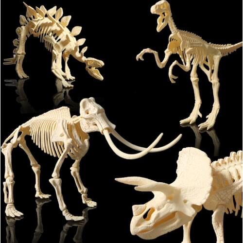 3D skeleton DIY assembly dinosaur models plastic bone toy for children,Triceratops/stegosaurus/velociraptor/mammoth for choose