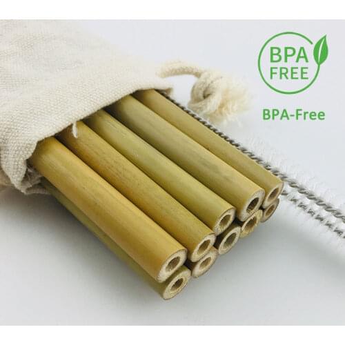 Set of 10 Pcs Natural Bamboo Travel Straws Reusable organic drinking Straws+2 straw cleaner brushes for Party Birthday Wedding