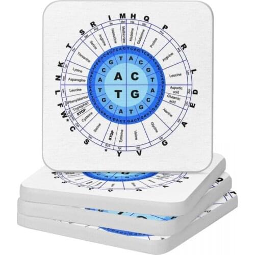 DNA Genetic Code Circle Gene Codon Amino Diatomaceous Square Round Shape Coaster Non-slip Cup Bonsai Mat Soap Pad Diameter 10cm