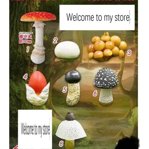 Simulation wild medicinal mushrooms toxic mushrooms ornaments model 7pcs/set