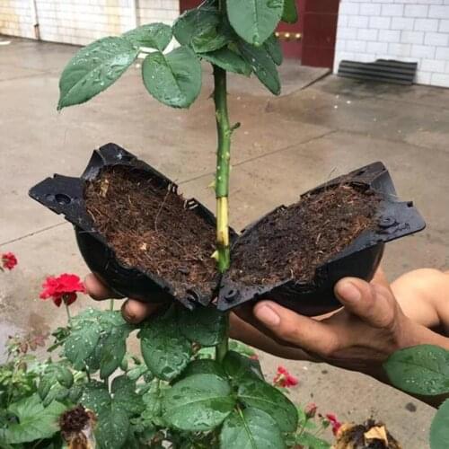 1 PCS Plant High-Pressure Breeding Box Indoor Sapling Breeding Equipment Plant Growth Bride Grafting Box Cultivation Forest