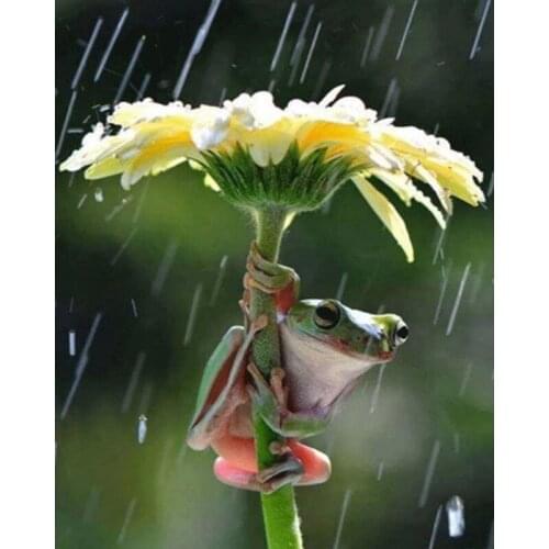 Full Square/round Diamond 5D DIY Diamond Painting Frog and bear Embroidery Cross Stitch Rhinestone Mosaic Home Decor