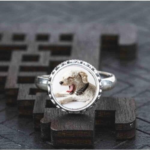 925 Sterling silve Ring gray poodle jewelry adjustable wedding dress for women girls ladies 1pcs/set 2020 hot vintage mini