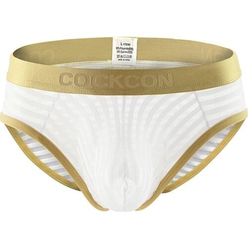 Ice Silk Sexy Underwear Men Mesh Briefs Breathable Panties Men Bikini Solid Transparent Low Waist Soft U Convex Pouch Panties