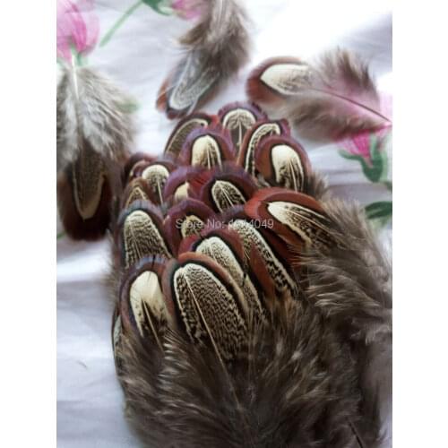 Wholesale beatiful 20pcs high quality natural pheasant feathers 3-6cm / 1.5-2.5inch decorative diy