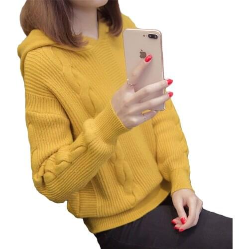 Spring Autumn Clothes Women Sweater Pullover 2019 New Loose Hooded Coats Long Sleeve Pull Knit Sweater Jumper Casual Female Tops