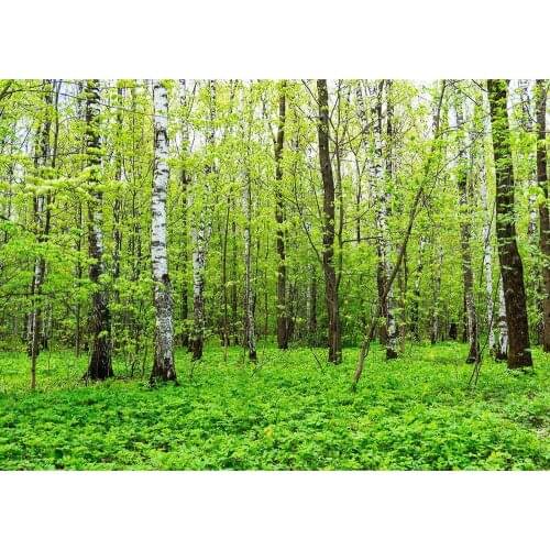 Trees Green Plant Photo Backgrounds Computer Printed Backdrop for Children Baby Portrait Scenery Photophone Photography Props