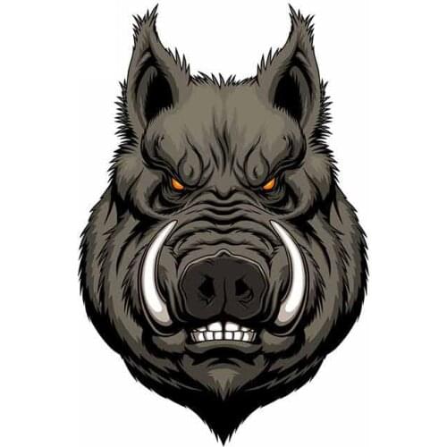 Personality Car Stickers Angry Boar Head Accessories Motorcycle Cover Scratches Waterproof PVC 13cm *9cm