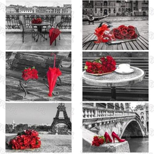 Diy Diamond Painting Black and White Style Western European Style Building House Red Rose Strong Collision Beauty Mural