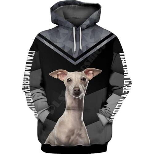 Italian greyhound 3D Printed Hoodies Pullover Men For Women Funny Animal Sweatshirts Fashion Cosplay Apparel Sweater 02