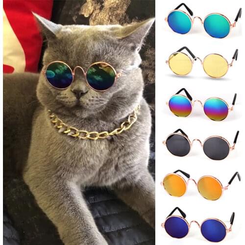SFG HOUSE Products For Cats