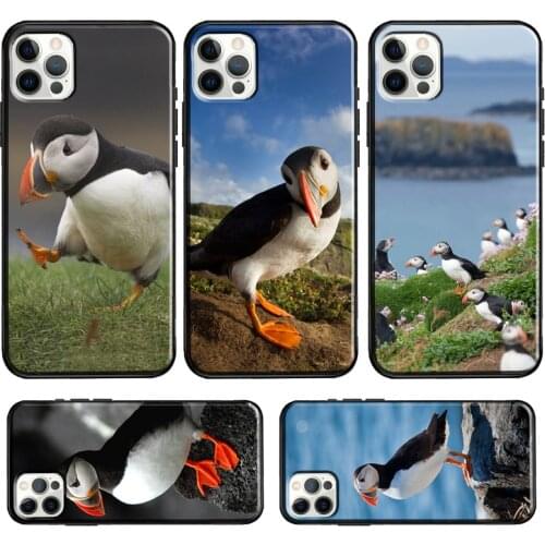 Atlantic Puffin Faroe Islands Case For iPhone 12 Pro Max 12 mini 11 Pro Max 6S 7 8 Plus X XR XS Max SE 2020 Cover