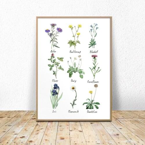 Wild Flowers Chart Print Flower Species Botanical Poster Herbarium Decoration Plants Wall Art Canvas Painting Nursery Home Decor
