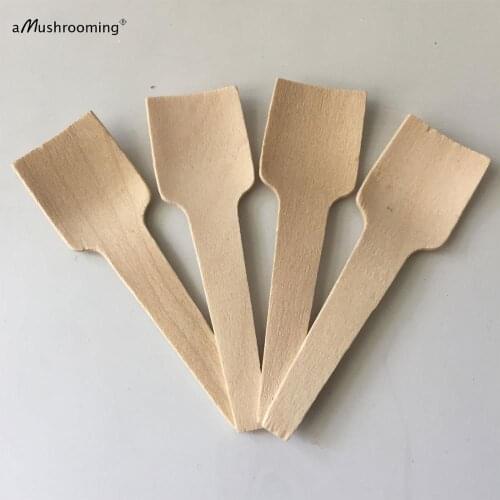 100 Pcs Natural Wooden Taster Spoons Mini Eco-Friendly Biodegradable Spoon for Ice Cream Dessert Tasting Sugar Scrub(50)