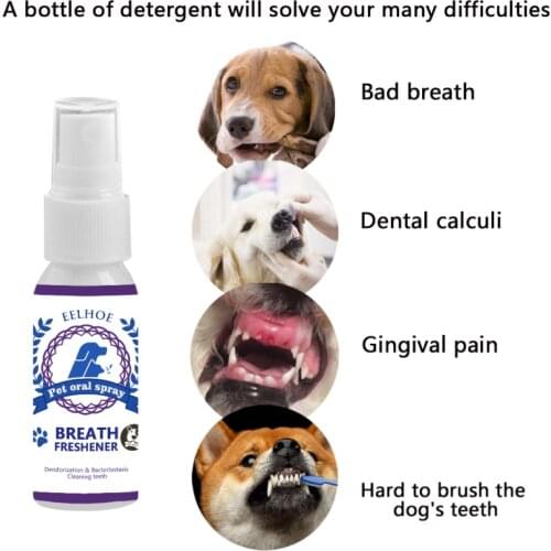 New Pet Breath Freshener Spray Dog Teeth Cleaner Dog Cat Oral Healthy Dental Care Pet Dog Supplies Stain Odor Removers Cleaning