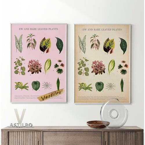 Botanical Garden Printable Poster Leaf Flower Cactus Illustration Wall Art Prints Canvas Painting Home Room High Quality Decor