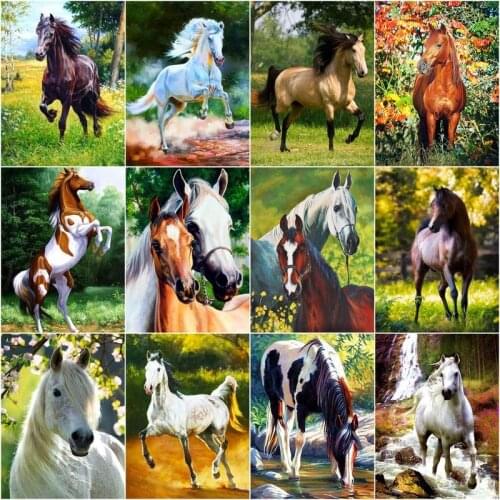 CHENISTORY Paint By Number Horse Animal Diy Pictures By Numbers Kits Drawing On Canvas Handpainted Gift Home Decoration Wall Art