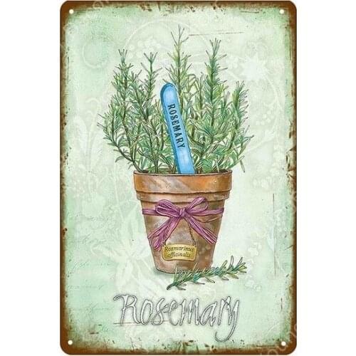 The Kitchen Herb For The Garden Decor Flowers Tools Vintage Metal Signs Living Dining Gardening Room Wall Poster YI-119