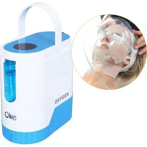 Hot Sale Medical Home Portable Facial Beauty Oxygen Concentrator With Battery