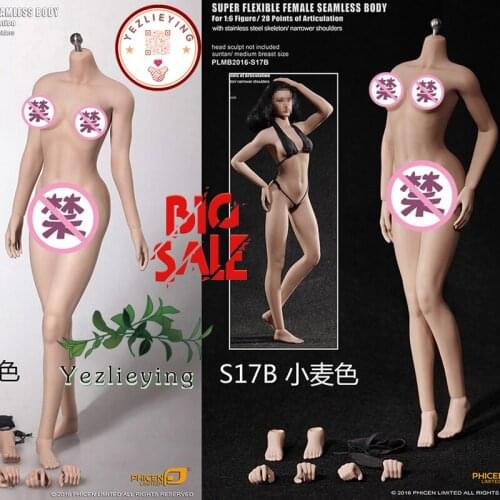 TBLeague PLMB2016-S16A /S17B Narrow Shoulder Female Seamless Pale Body/Medium Tanning Breast (no-head sculpt)Body Figure 12Inch