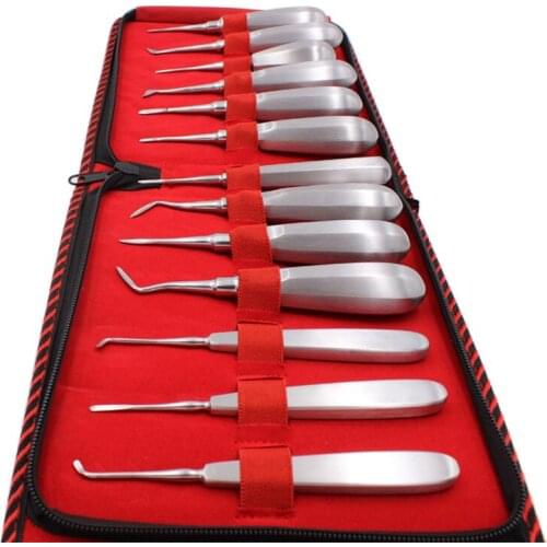 13pcs/lot Dental Elevator Set with Tool kit Teeth Extraction Tooth Extracting Forceps Metal Curved Root Lift Elevator