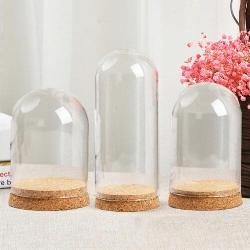 Glass Bottle Terrarium Jar W/ Cork Base Dome Dust Cover For DIY Specimen Succulent Plant Micro Landscape Flower Vase Display Box