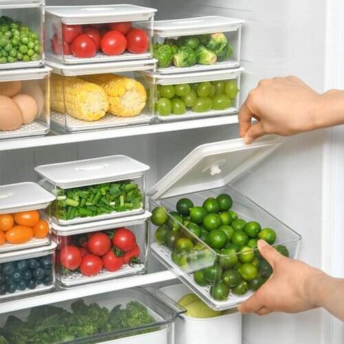 Household Kitchen Storage Containers Drain Fresh-Keeping Box Refrigerator Food Storage Box Vegetable Fresh-Keeping Box