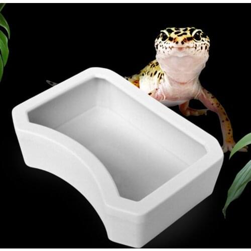 Reptile Feeder Water Food Feeding Plastic Bowl 3 Size Turtle Lizard Snake Basin Retailsale