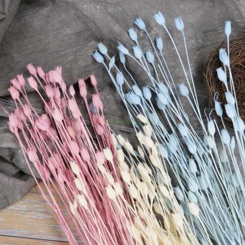 5 Bundles Preserved Dried Campanula Flower For Bouquet Wreath Garland Flower Making Material Accessory Craft DIY