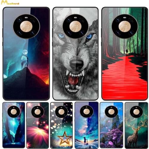 Mate40pro Tempered Glass Cover For Huawei Mate 40 Pro Phone Cases NOH-NX9 Hard Funda Back Protective Shell Cool Cartoon OCE-AN10
