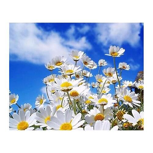 A12837 11CT/14CT/18CT/25CT/28CT night snowing patterns Counted Cross Stitch DIY Cross Stitch Kits Embroidery Needlework Sets