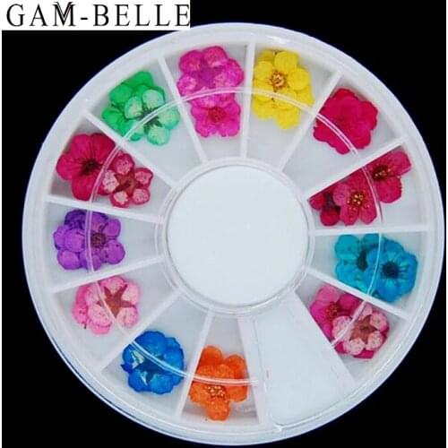 GAM-BELLE 3D Natural Mixed Dry Flower Nail Art Decoration Colorful Floral Sticker Tips Accessories DIY Manicure Tools in Wheel