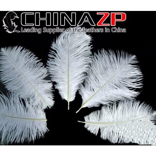 CHINAZP Factory 200pcs/lot Size 6"-8"(15-20cm) Top Quality White Ostrich Feathers for Decorations