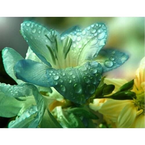 Diy diamond embroidery exotic flowers and rare herbs diamond painting Green flower square diamond mosaic icons full embroidery